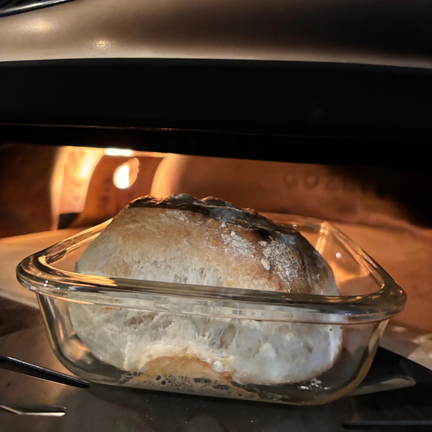 PAN Flame Shield For ARC LITE